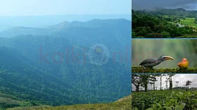 பிப்ரவரியில் சுற்றிப்பார்க்க வேண்டிய 10 இடங்கள்!