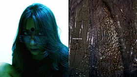At once intimate and abrasive, 'freeuse .org' - a not-so-subtle reference to consensual near-total submission in kink culture - stages the body as a site of both pleasure and ruin.