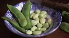 பெண்களின் கர்ப்ப கால பிரச்னைகளுக்கு தீர்வு தரும் மொச்சை பயறு!