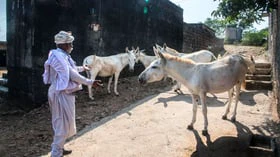 எது செய்தாலும் குறை சொல்றாங்களா?அப்போ இந்தக் கதை உங்களுக்குத் தான்!