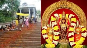 நோயற்ற வாழ்வும், குறைவற்ற செல்வமும் தரும் திருத்தணி படி பூஜை!