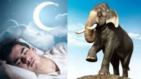 உங்கள் கனவில் இந்த விலங்குகள் வந்தால் என்ன பலன் தெரியுமா?
