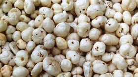 மக்கானா தரும் மகத்தான ஆரோக்கிய நன்மைகள்!
