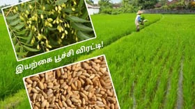 வேப்பங்கொட்டைக்கு இத்தனை பவரா?