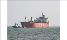 DG Shipping asks ports to provide concessions to exporters, advises seafarers to remain safe