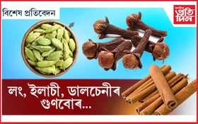 খায় নে লং,ইলাচি,ডালচেনীঃ গমেই নাপাব বহু ৰোগ পলাল কেনি...