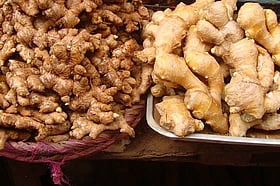 Rs 189.79 Crore Mizoram Ginger Mission To Integrate 20,000 Farming Households Into Global Supply Chain