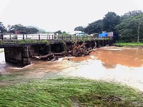 Mumbai: Chena bridge in danger: uprooted trees stuck in piers