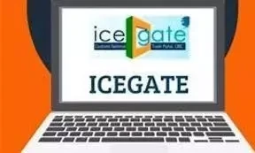 CBIC allows UPI, card payments for customs duty on ICEGATE platform
