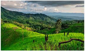 Jayanta Roy Chowdhury | Chittagong Hills Burning, As B'desh Frontier Crisis Builds