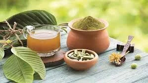 Best Kratom Vendors for Green Malay Kratom: Duration-Verified Picks