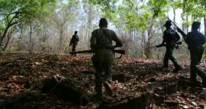 Security forces recover 70 gelatin sticks along Odisha-Chhattisgarh border