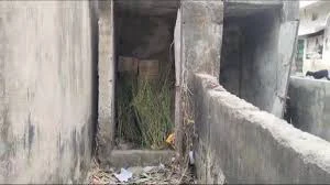 स्कूल से नशे में लौटा चौथी का छात्र, जर्जर बाथरूम से भारी मात्रा में शराब बरामद