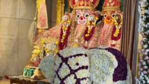 Watch: Anant Ambani's 31st birthday honored with 3,000kg "Elephant Buffet" in Jaipur