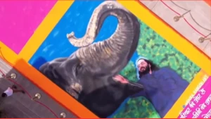 Watch: Massive portrait of Anant Ambani at Jagannath Temple, Ahmedabad