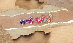 2011ની વસતિ ગણતરી: કેવું હતું ભારત ?