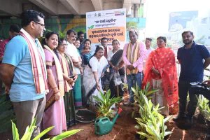 BMC's beautification drive along NH-16
