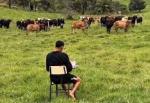 Viral video: Strangest roll-call you'll ever see, and it's for four-legged 'students'