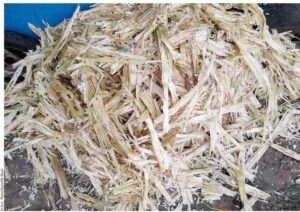 Sugarcane waste to power cosmetics: new lactic acid process gets patent