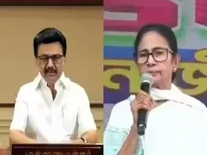 2 CMs Fall With Their Parties: Mamata Loses Again To Suvendu Adhikari, MK Stalin Stunned By TVK Rival
