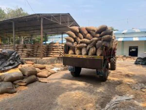 గోదాముల్లో భద్రపరిచిన మొక్కజొన్న బస్తాలు