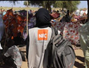 Lebanon ceasefire a 'Moment of Hope' but must become permanent, says Norwegian Refugee Council