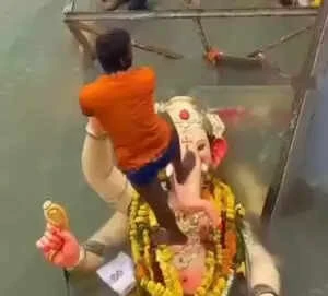 Viral Video of Ganesh Idol Immersion Sparks Outrage: What Happened?