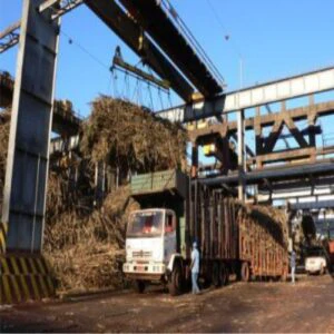 Bihar: Order passed to restart two sugar mills