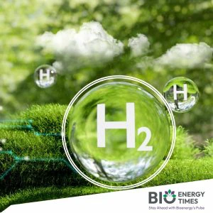 Green hydrogen push: Greenlyzer, Royal Group sign deal for ASEAN projects