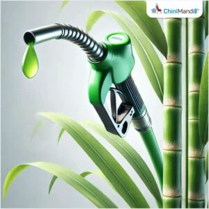 Ethanol from sugarcane can cut LPG dependence, says IFGE
