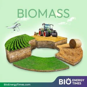 Study explores biochar use to improve soil and water management in hill farming