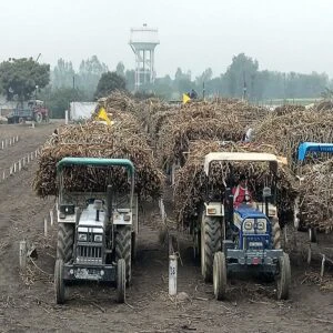 Uttarakhand: MLA overturns sugarcane trolley outside assembly gate over Rs 110 crore Iqbalpur mill dues