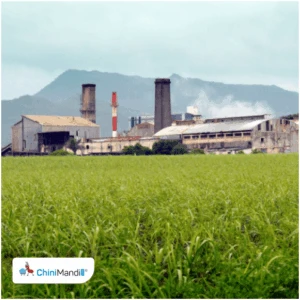 KPR Mill's sugar segment profit rises 70% in FY26, consolidated net profit climbs to Rs 867 crore