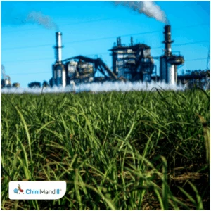 India Ratings reaffirms IND A+/Stable rating for Avadh Sugar and Energy's bank facilities