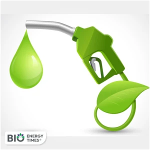 Iowa renewable fuels economic study highlights pullback of biodiesel production