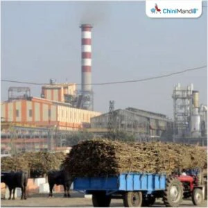 थकीत ऊस बिलप्रश्नी साखर संकुलावरील चक्का जाम तूर्त स्थगित : भूमिपुत्र संघटना