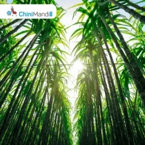 Indonesia seizes 85,000 hectares of sugarcane land, raising palm oil supply concerns