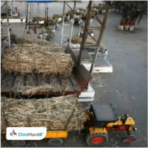 Zuari Industries' sugar division records highest-ever crushing in FY26