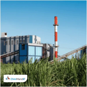 उत्तर प्रदेश: बंद पड़ी चीनी मिल को चालू कराने के लिए बनी रणनीति