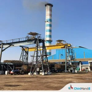 India Ratings upgrades Magadh Sugar and Energy's long-term rating to IND A+/Stable