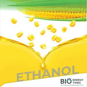 India's ethanol blending programme gains pace; maize emerges as key feedstock