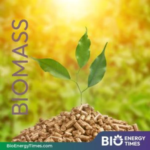Gas Malaysia and Wasco Greenergy sign MoU to explore biomass steam solutions for industrial use