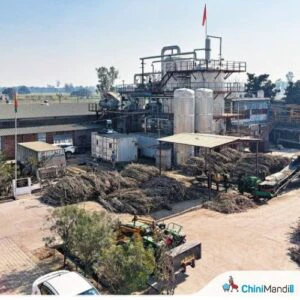 મહારાષ્ટ્રમાં શેરડી પિલાણની મોસમ ટૂંક સમયમાં સમાપ્ત થશે; કોલ્હાપુર વિભાગ વર્તમાન સિઝનમાં સૌથી વધુ ખાંડનું ઉત્પાદન કરે છે