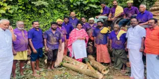Better to cut off the branch than lose the whole tree? Congress' Ramya Haridas dilemma