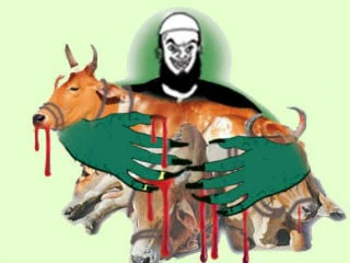cow slaughter