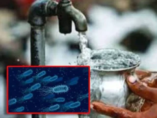 वाळपई परिसरात नळातील पाण्यातून किडे येणे चालूच