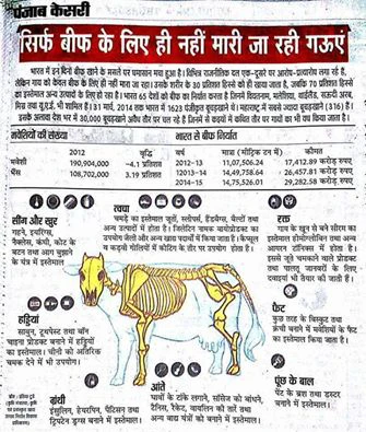 गाय को क़त्ल करके बनाई जाती है सेंकडो चीजे, आप भी इस्तेमाल करते है ये सब प्रोडक्ट‹ 〥