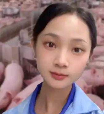 ಲಕ್ಷಗಟ್ಟಲೇ ಸಂಬಳ ಬಿಟ್ಟು ಹಂದಿ ಸಾಕೋಕೆ ಶುರುಮಾಡಿದ ಯುವತಿ!