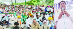 ਆਪਮੁਹਾਰਾ ਪੰਜਾਬ ਬੰਦ