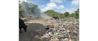 MDA, MCC begin clearing garbage near Chamundi Hill